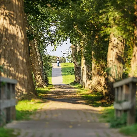 Strandnixe 5 Sterne Mit Eckbalkon Und Traumhaften Blick 公寓 欧巴德伍斯图
